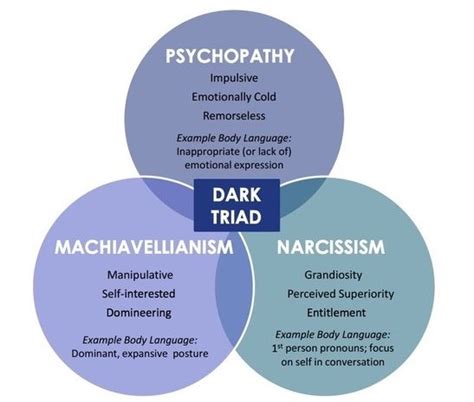 Each of the <b>Dark</b> <b>Triad</b> traits is associated with feelings of superiority and privilege. . Vulnerable dark triad